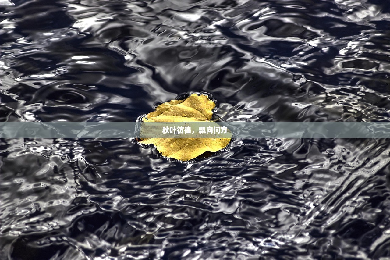 秋叶彷徨，飘向何方