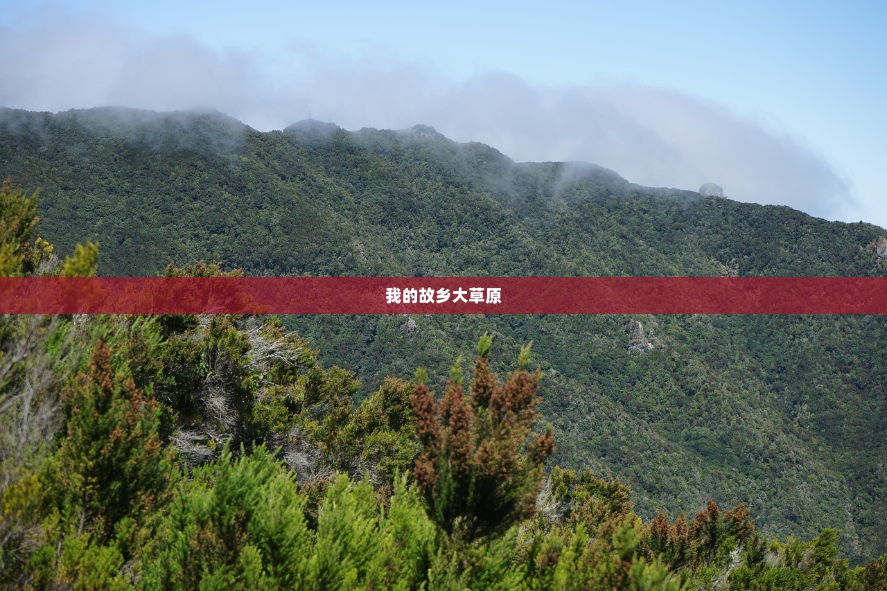 我的故乡大草原