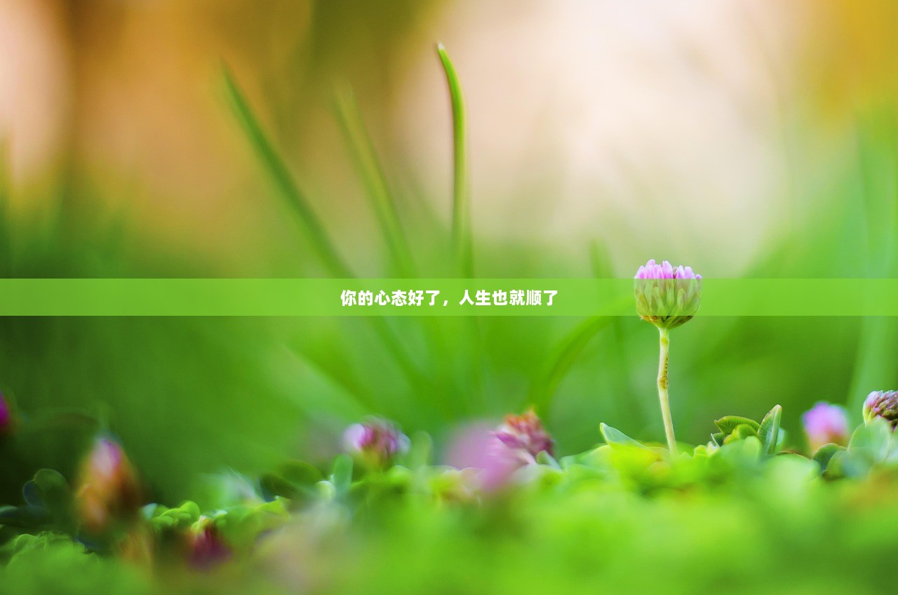 你的心态好了，人生也就顺了