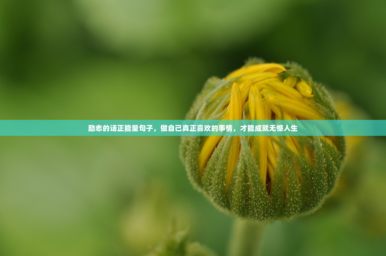 励志的话正能量句子，做自己真正喜欢的事情，才能成就无憾人生