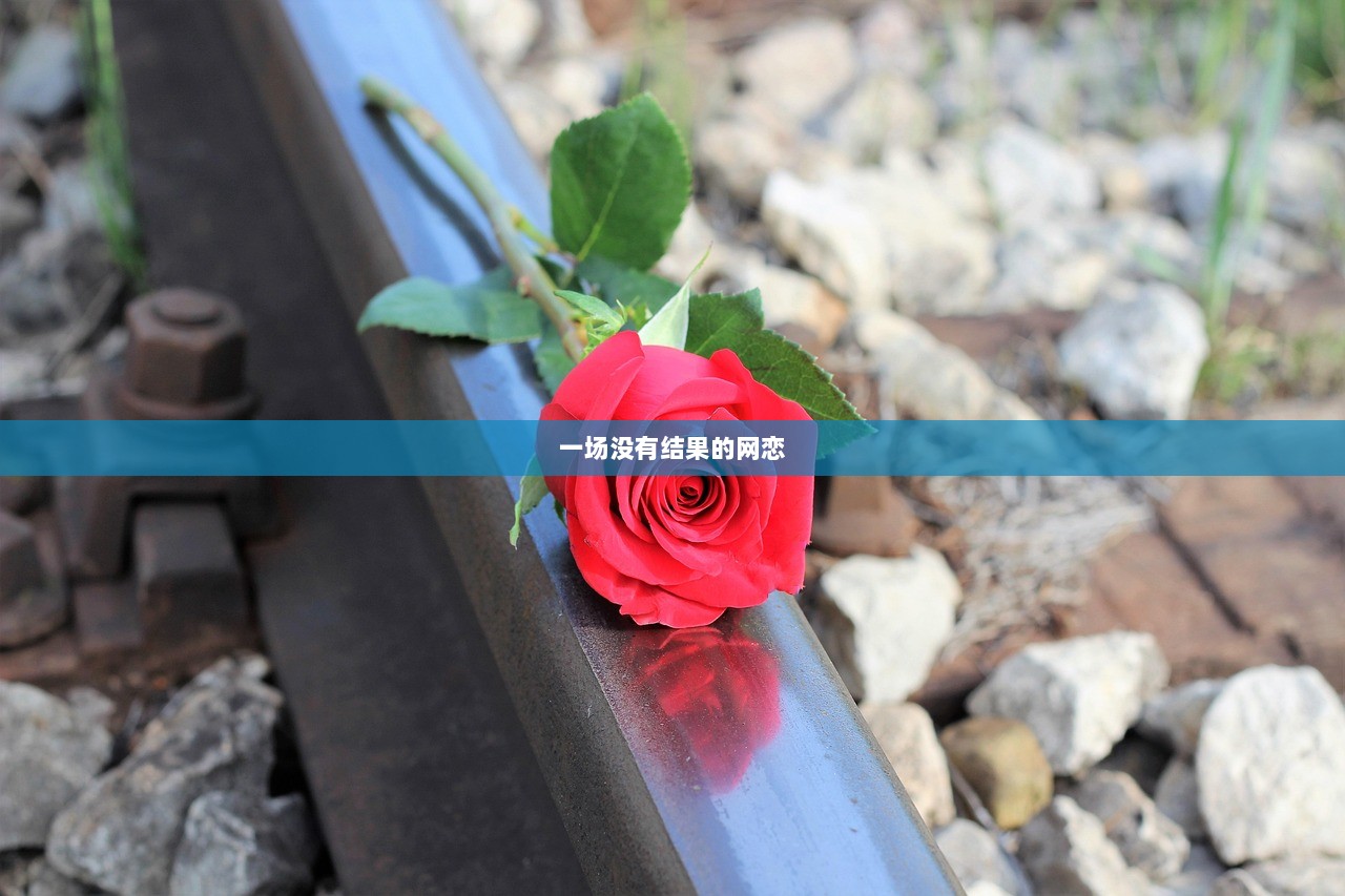 一场没有结果的网恋  第1张