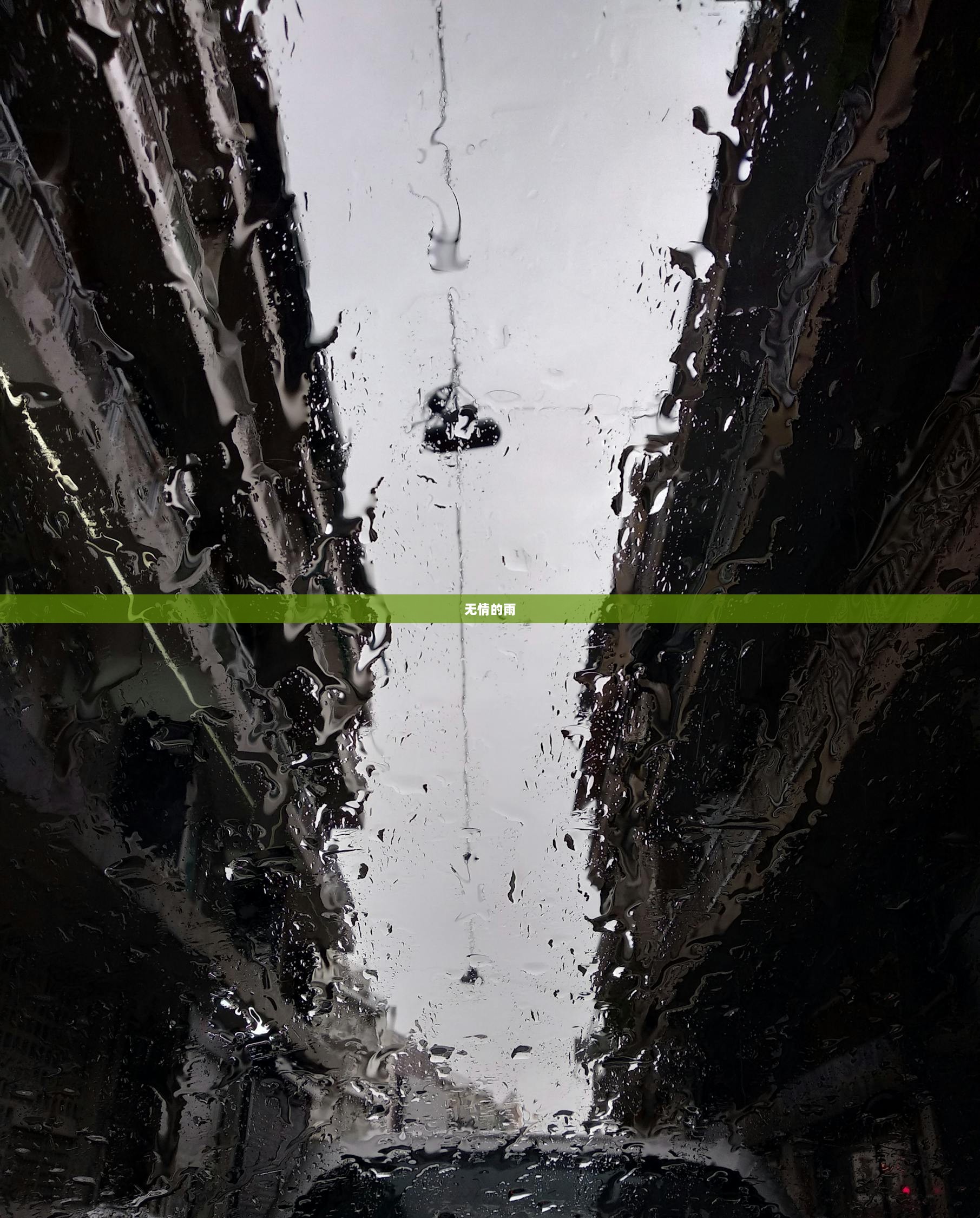 无情的雨