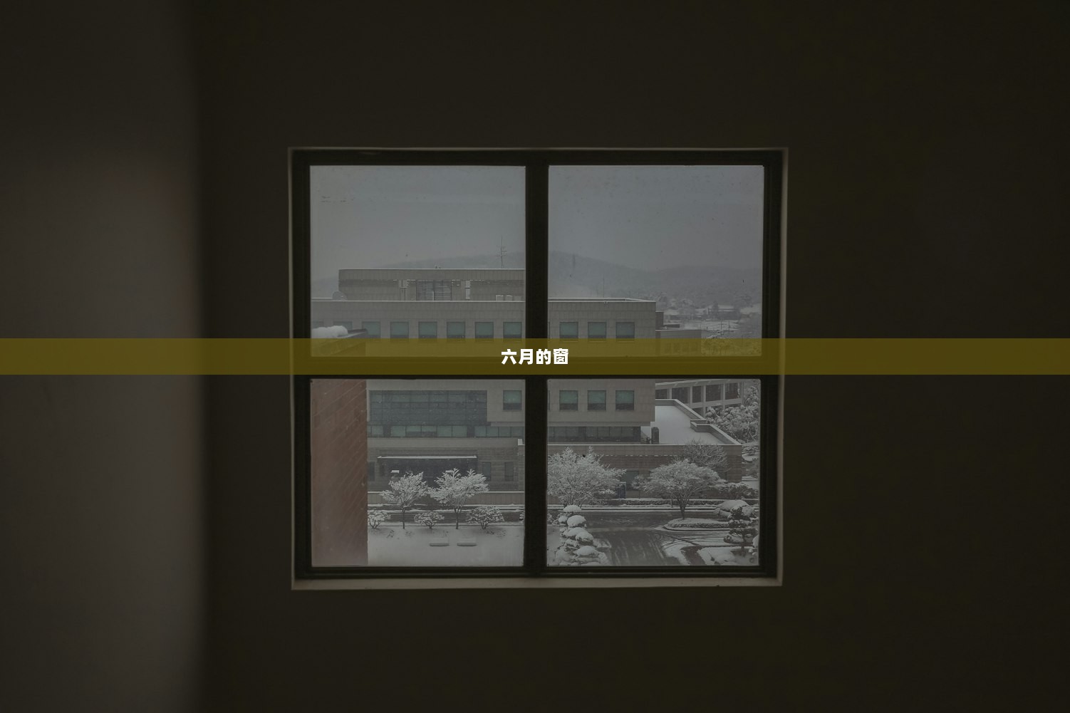 六月的窗