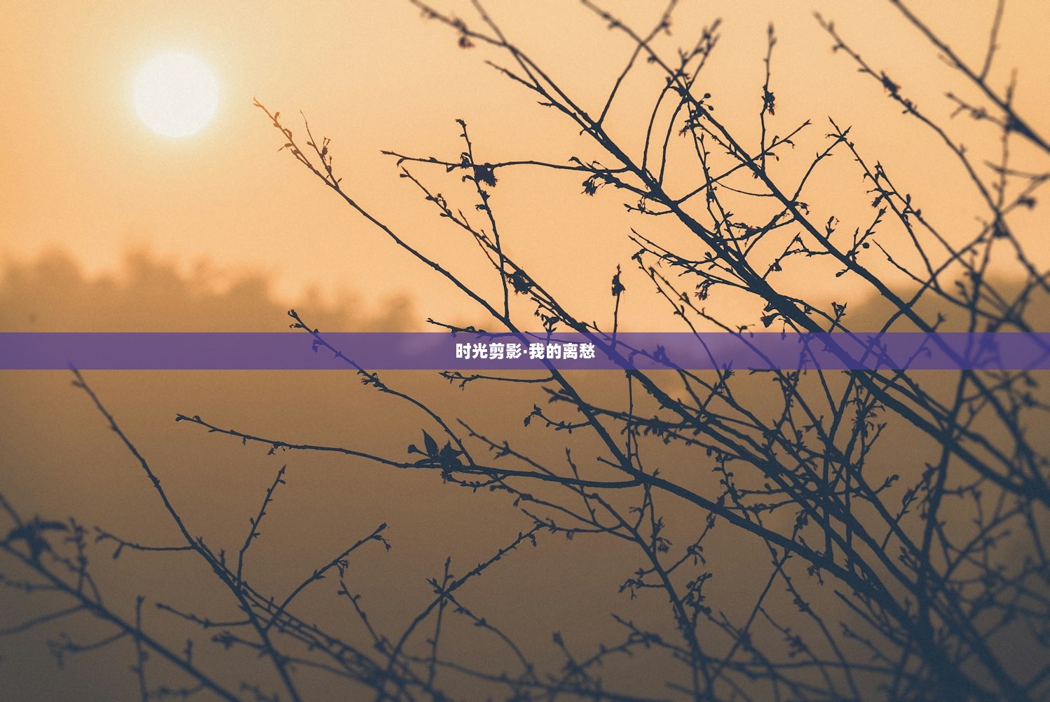 时光剪影·我的离愁