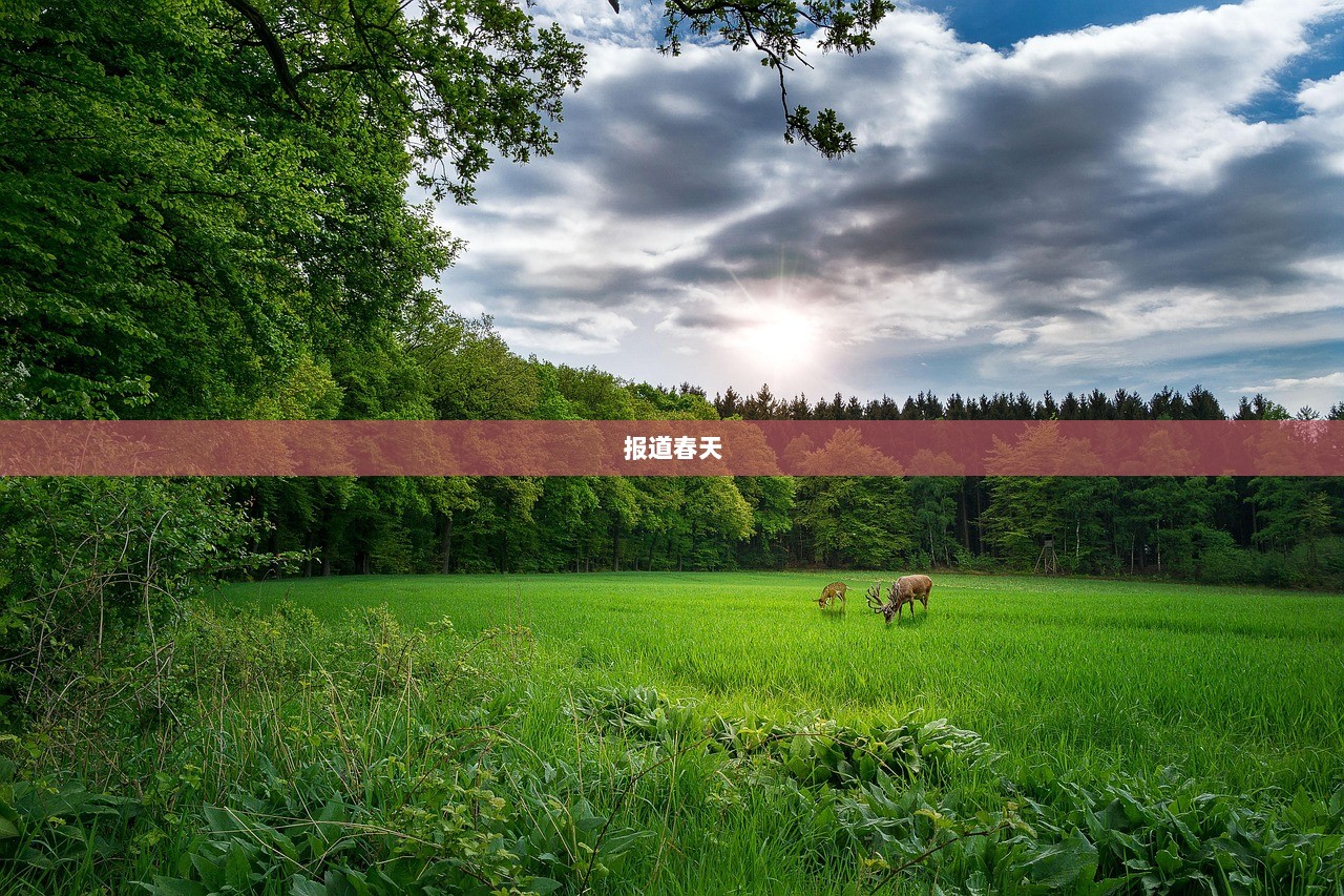 报道春天