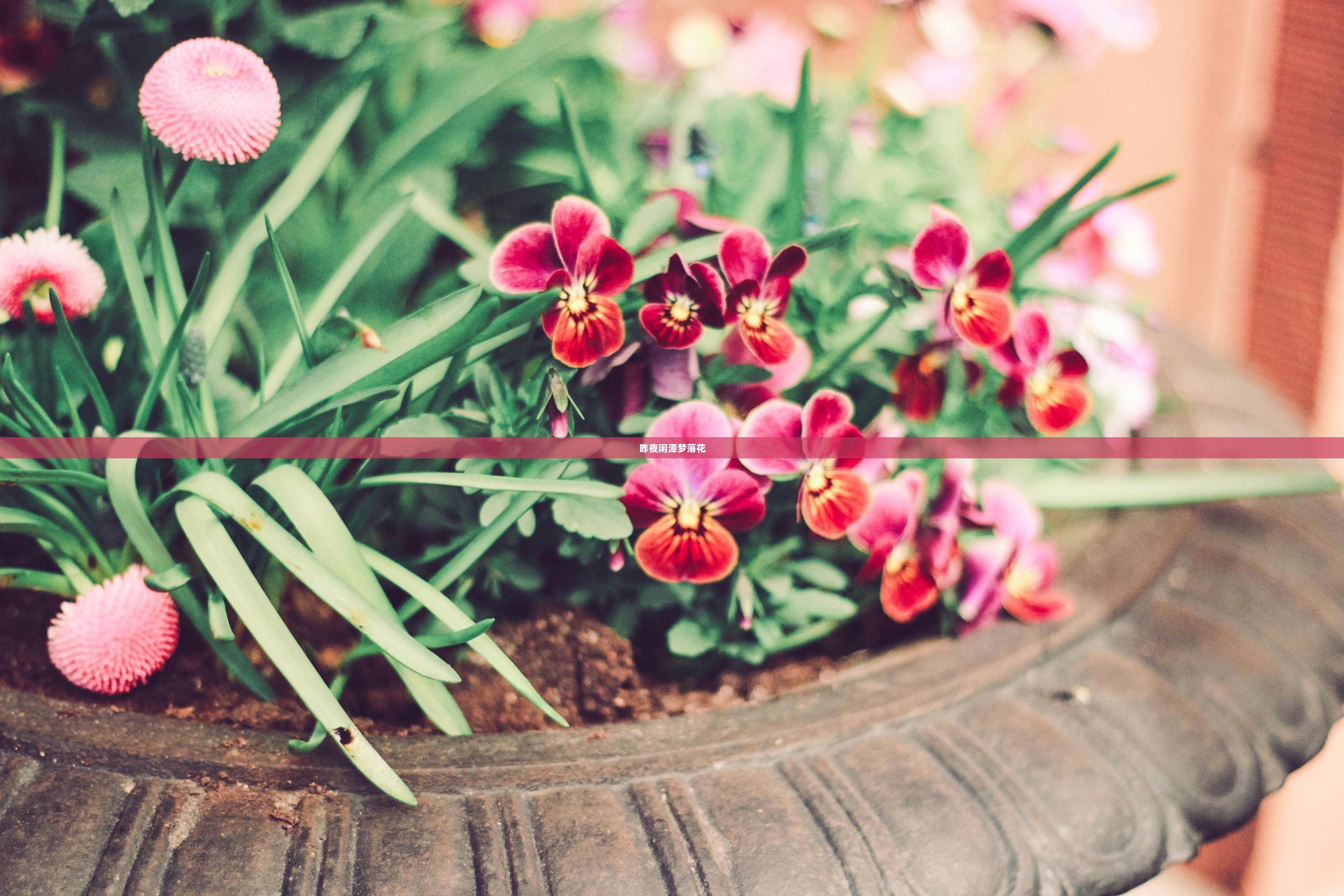 昨夜闲潭梦落花