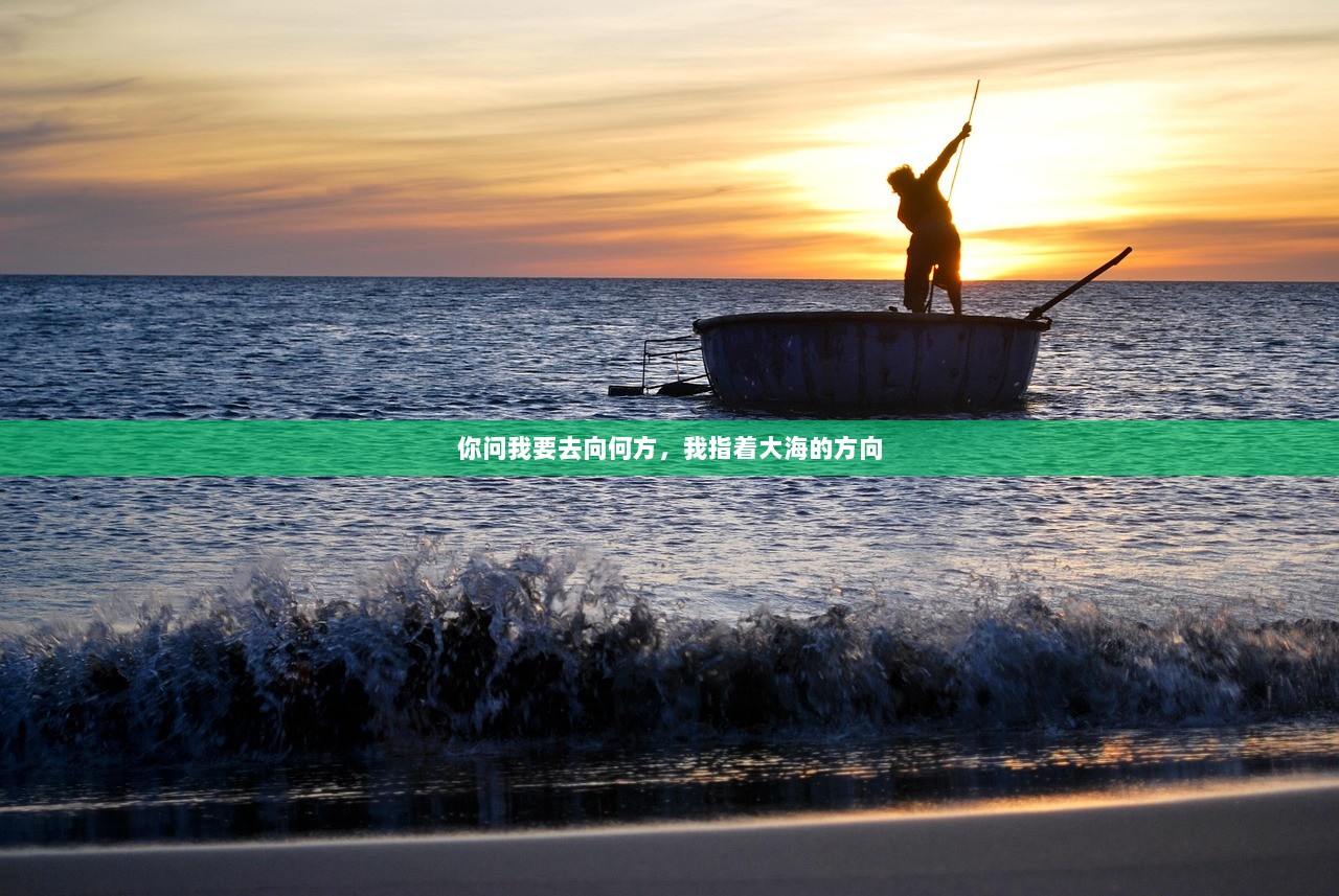 你问我要去向何方，我指着大海的方向
