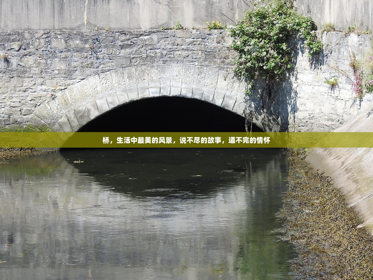 桥，生活中最美的风景，说不尽的故事，道不完的情怀