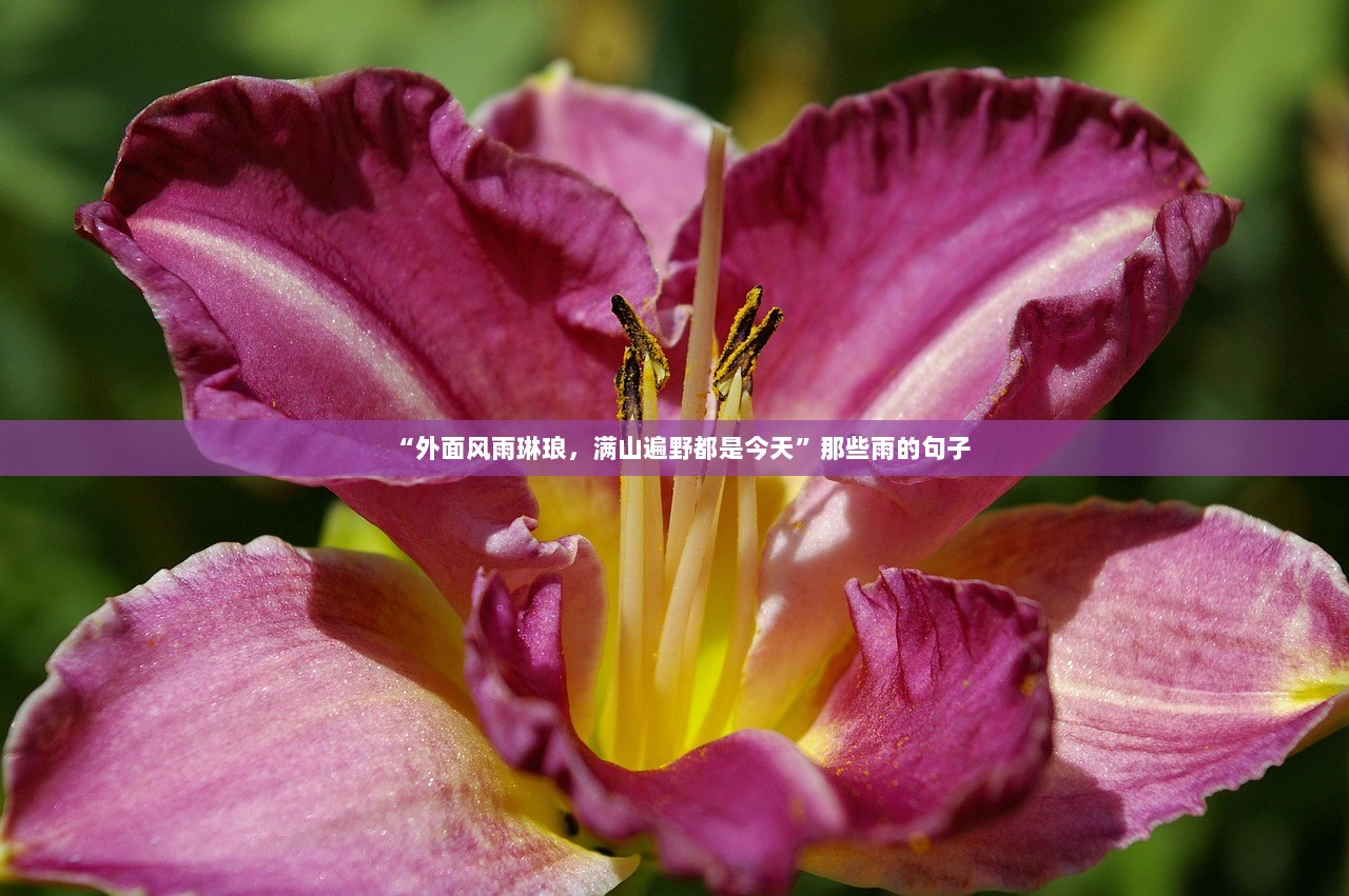 “外面风雨琳琅，满山遍野都是今天”那些雨的句子