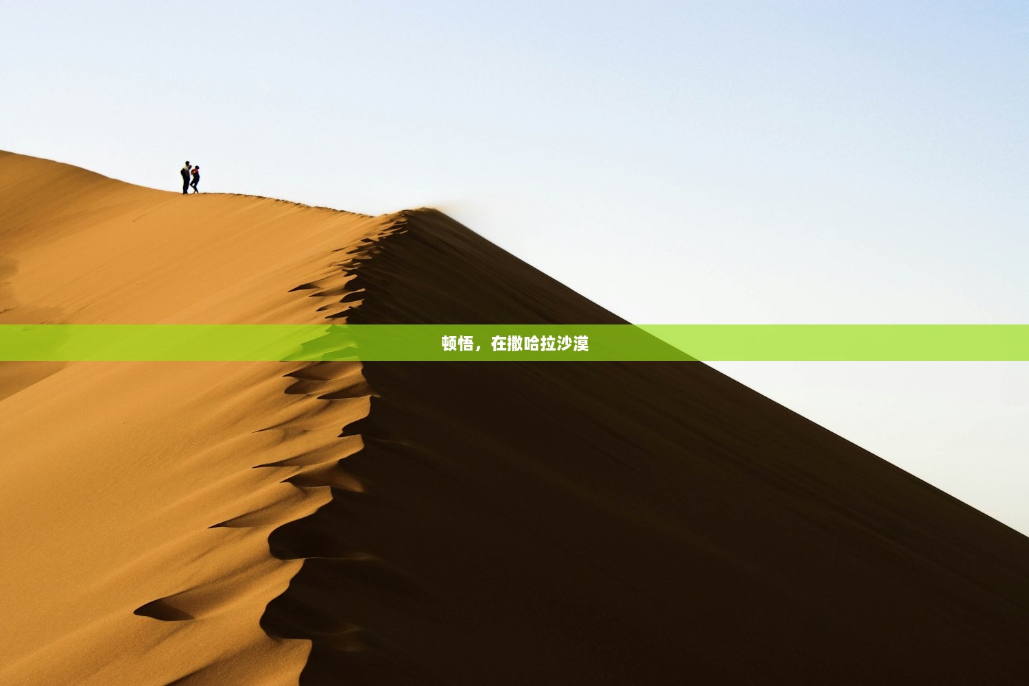 顿悟，在撒哈拉沙漠