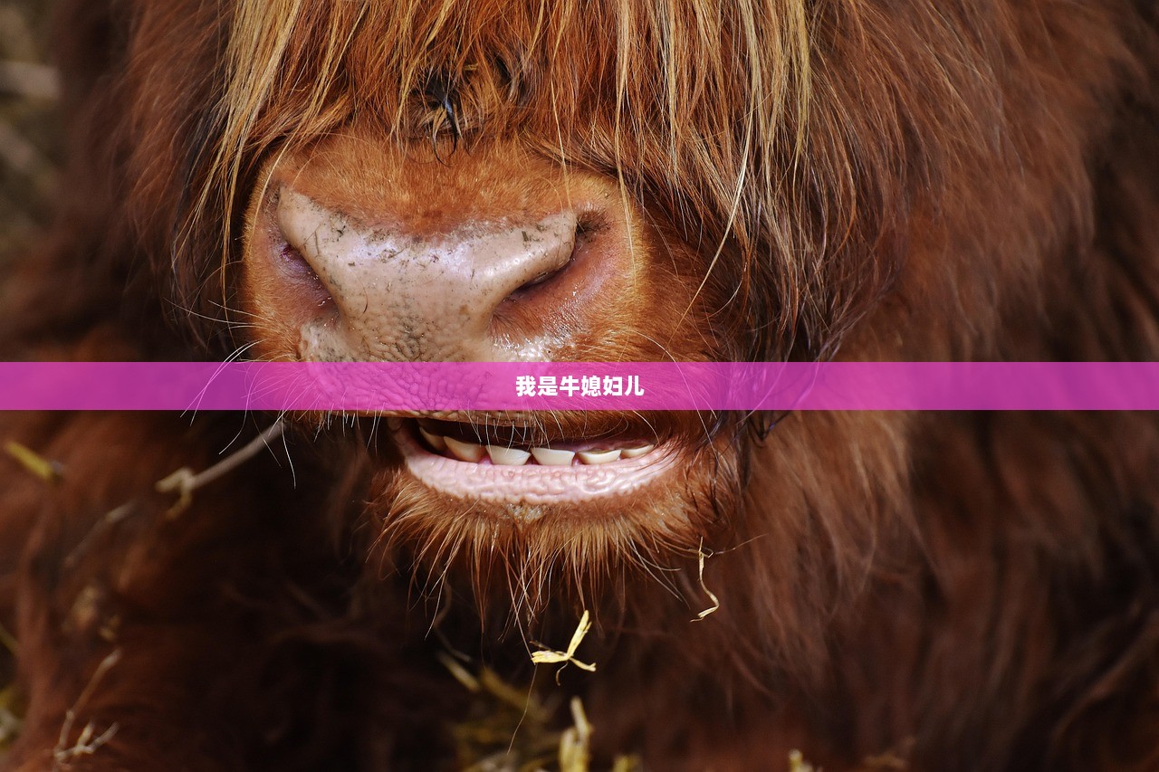 我是牛媳妇儿