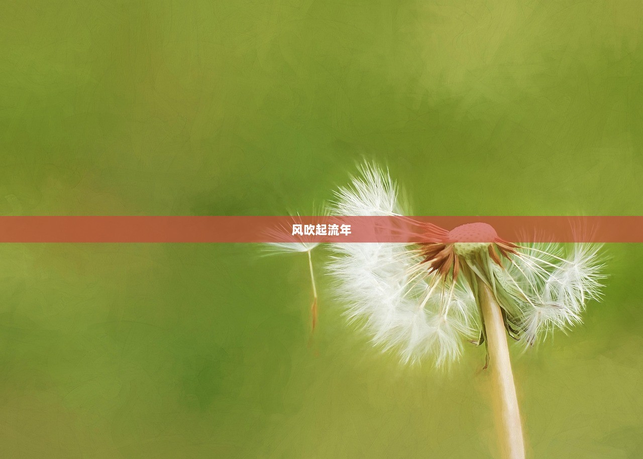 风吹起流年