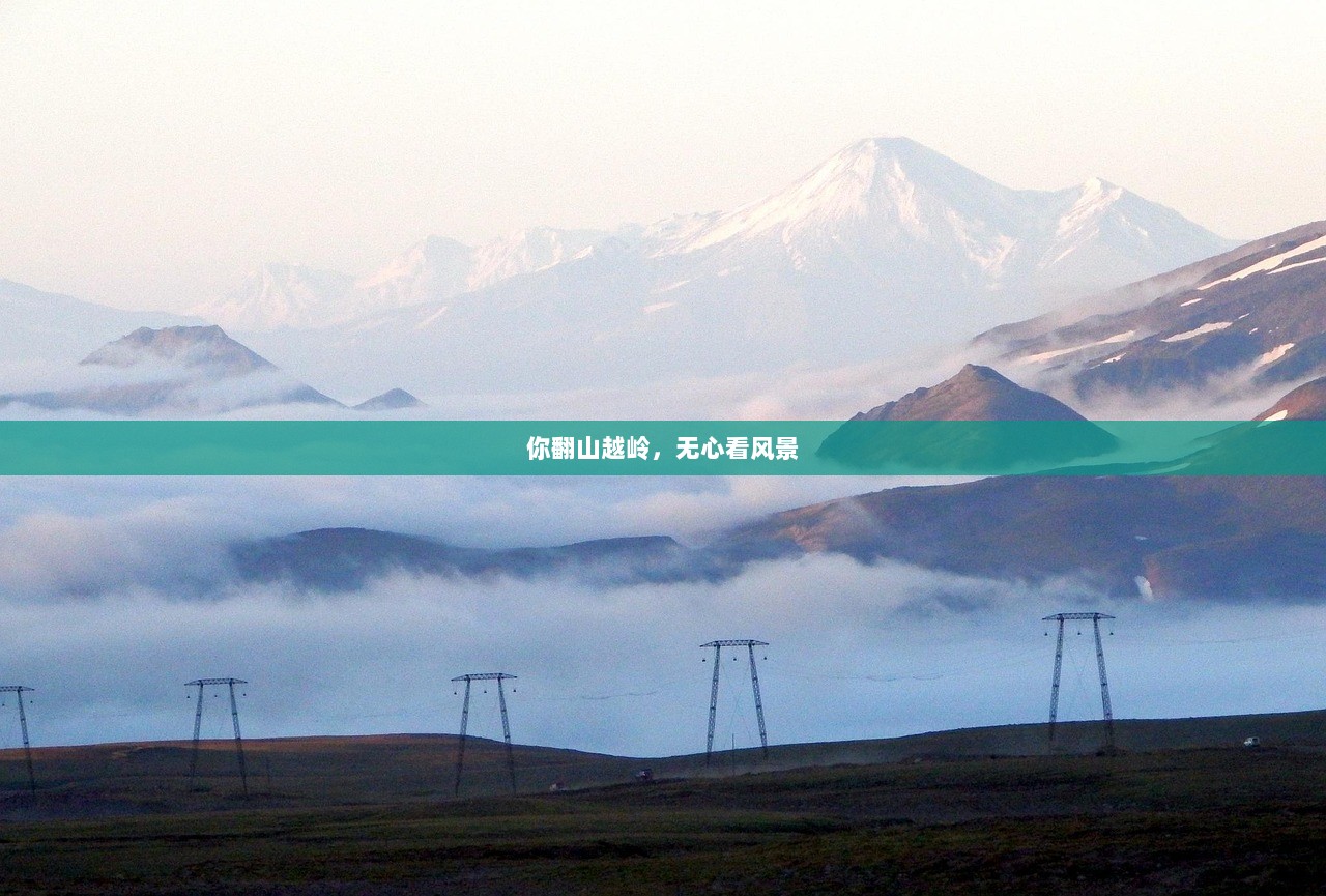 你翻山越岭，无心看风景