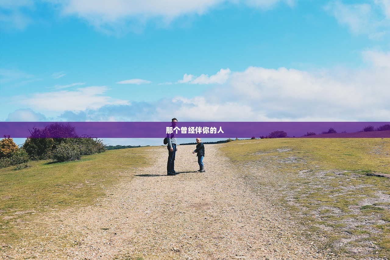 那个曾经伴你的人