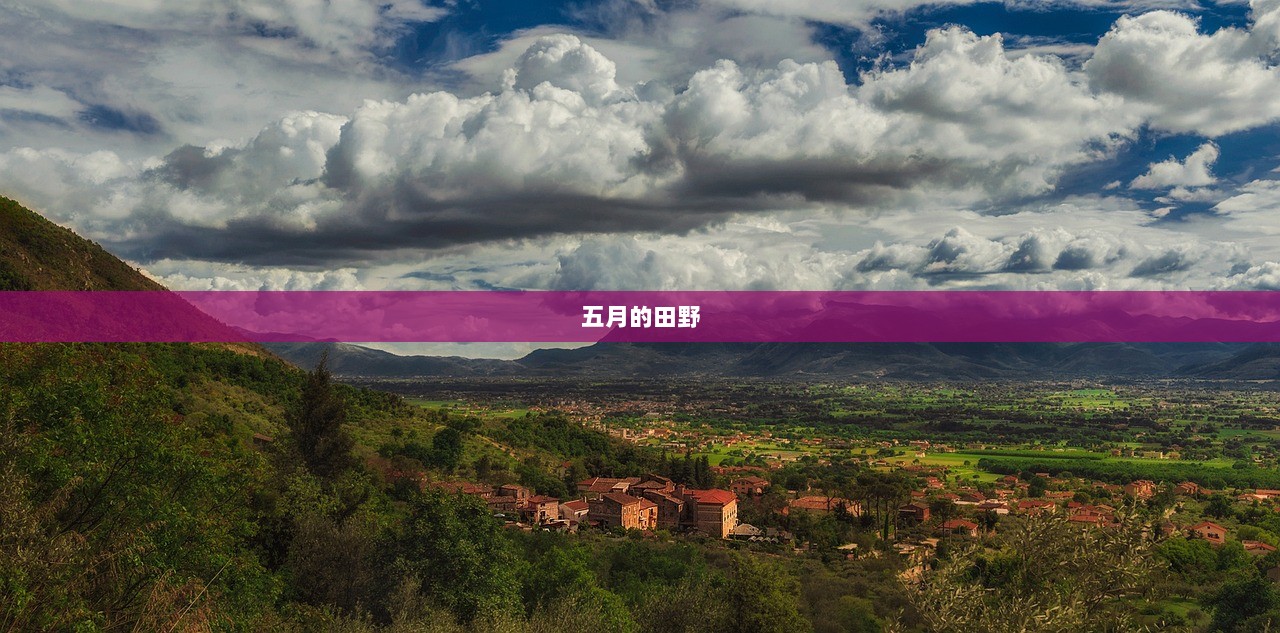 五月的田野