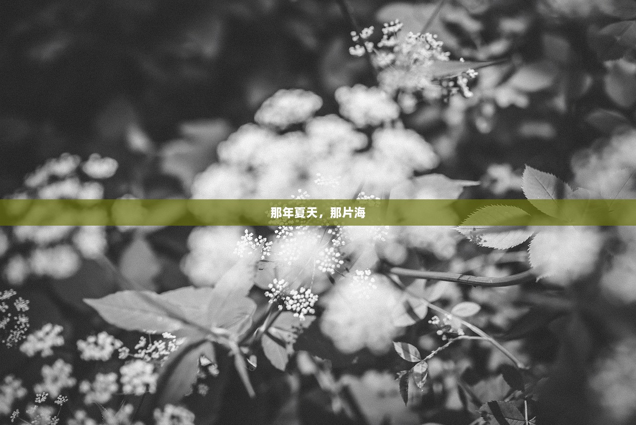 那年夏天，那片海