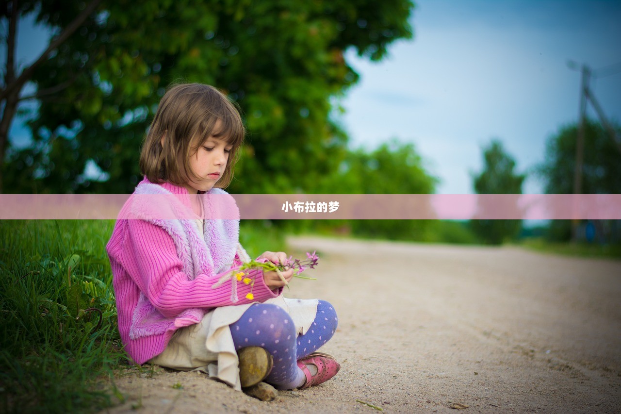 小布拉的梦