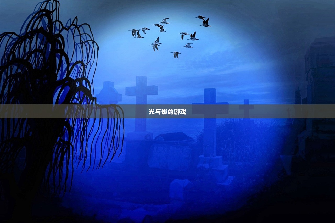 光与影的游戏