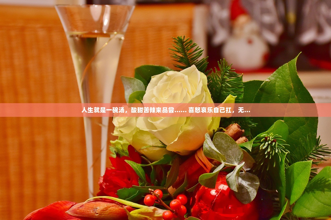 人生就是一碗汤，酸甜苦辣来品尝…… 喜怒哀乐自己扛，无...