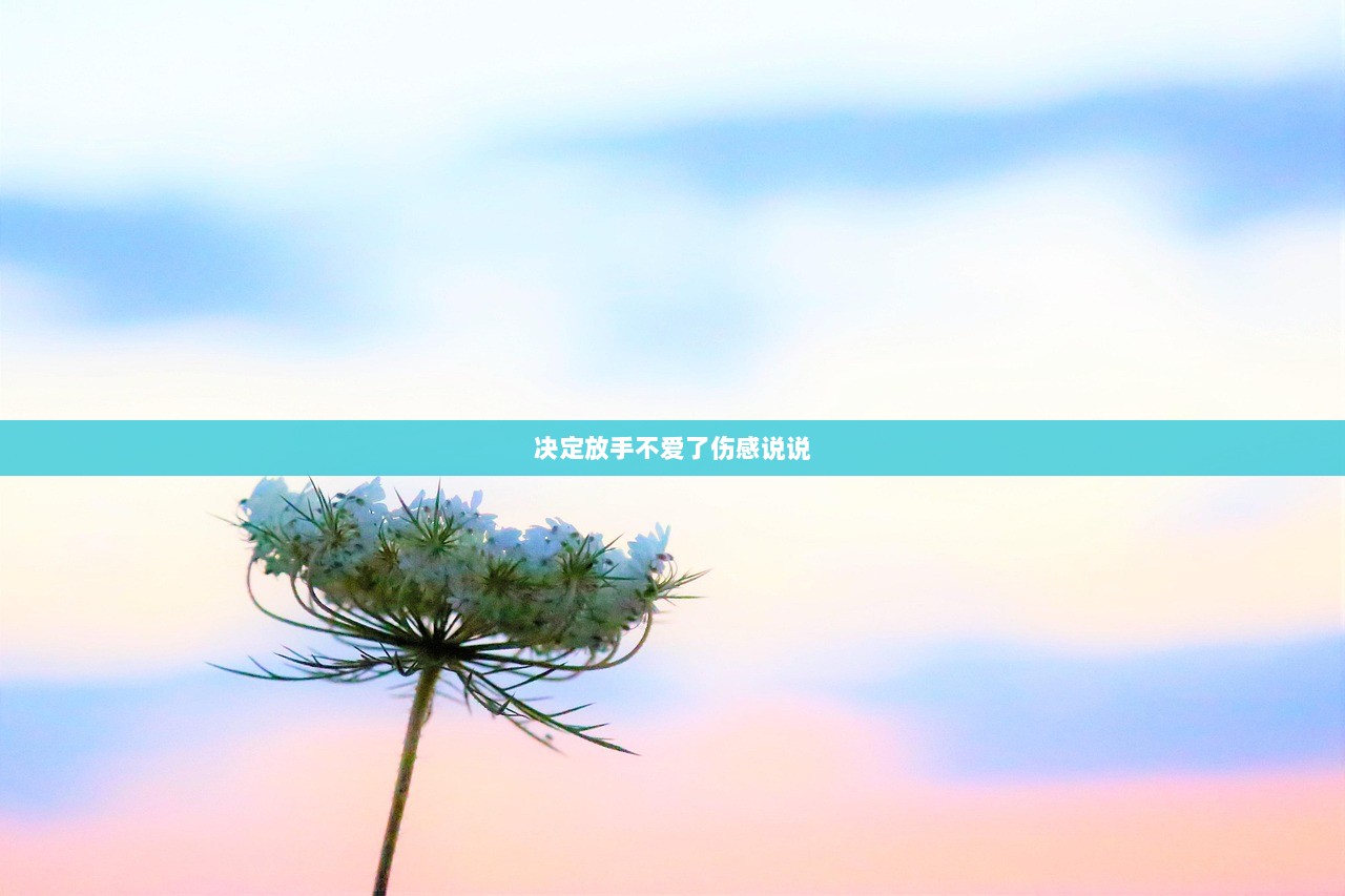 决定放手不爱了伤感说说