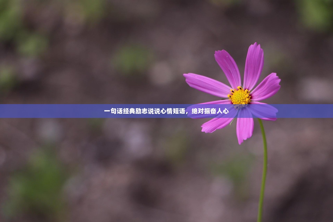 一句话经典励志说说心情短语，绝对振奋人心