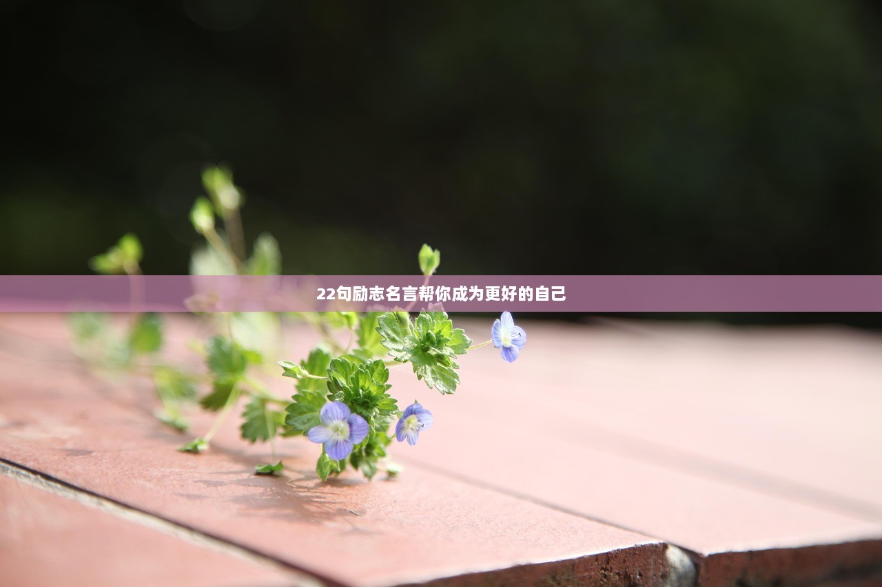 22句励志名言帮你成为更好的自己