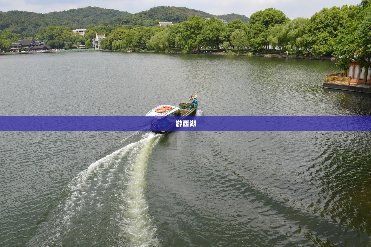 游西湖