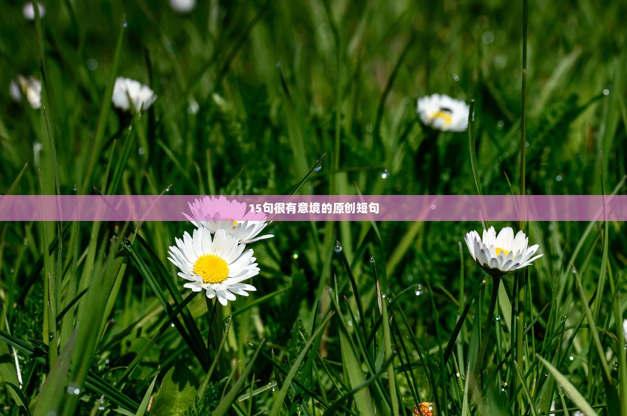 15句很有意境的原创短句