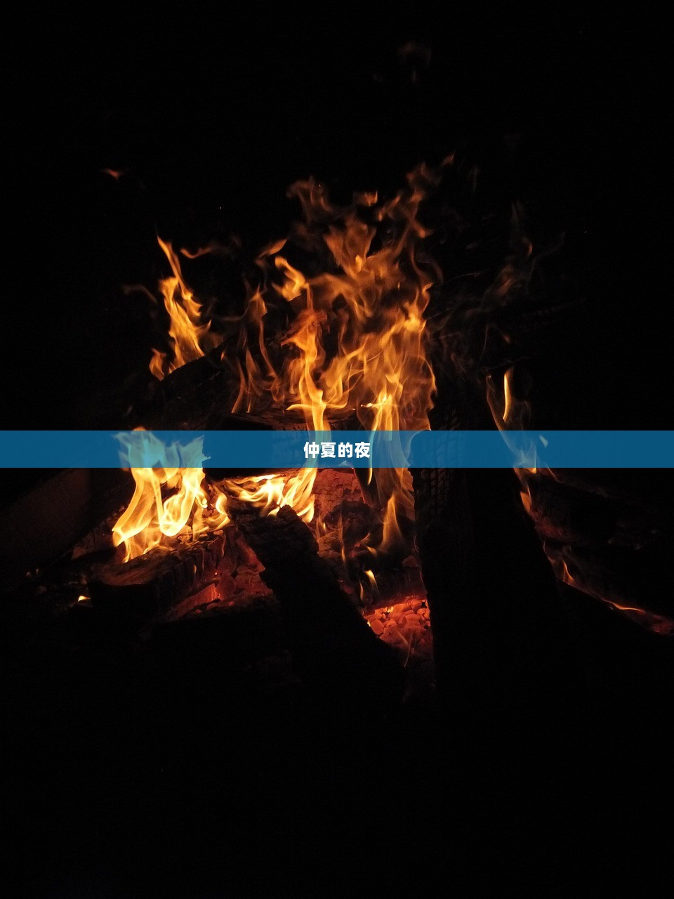 仲夏的夜
