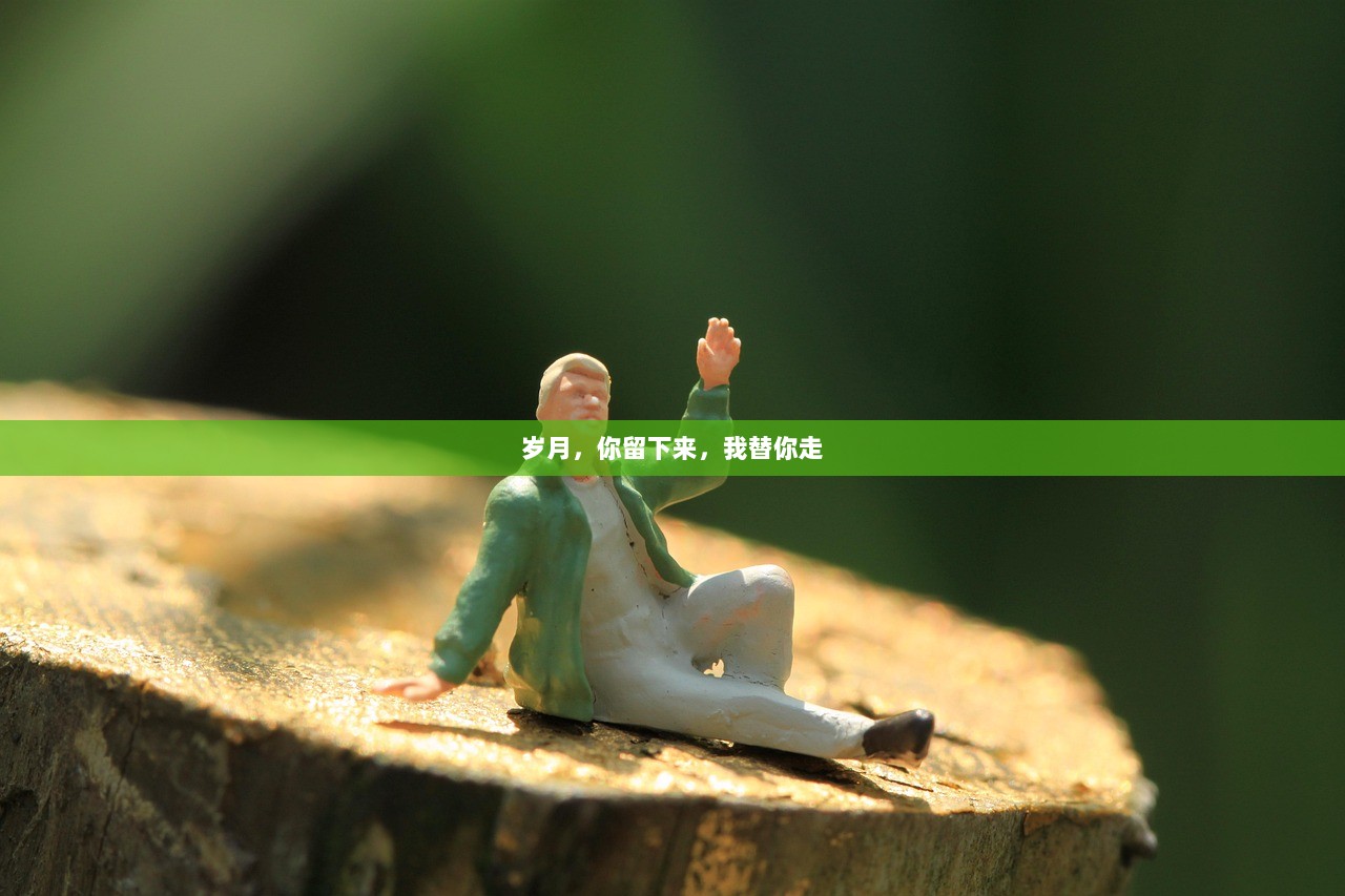 岁月，你留下来，我替你走