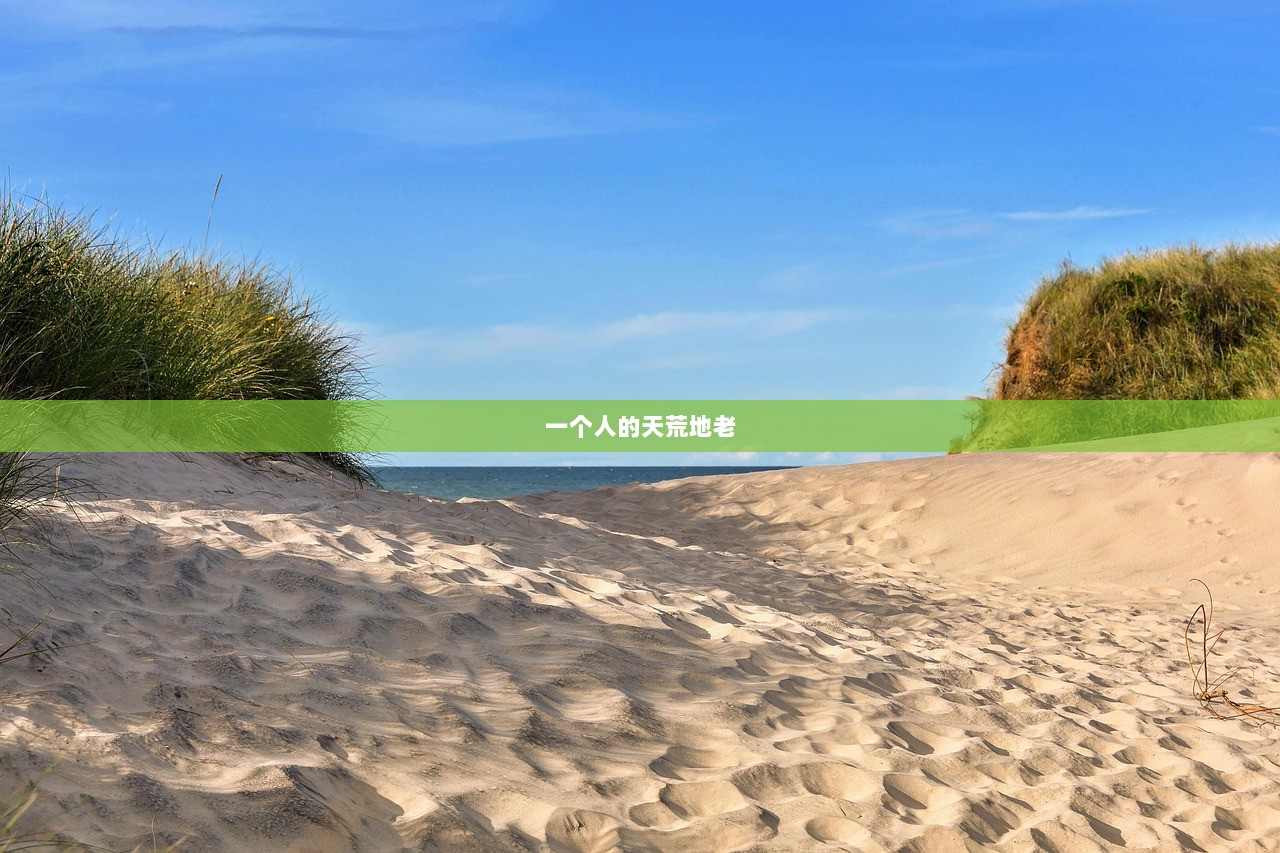 一个人的天荒地老