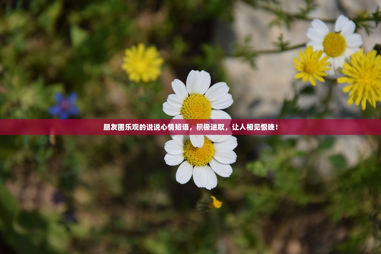 朋友圈乐观的说说心情短语，积极进取，让人相见恨晚！