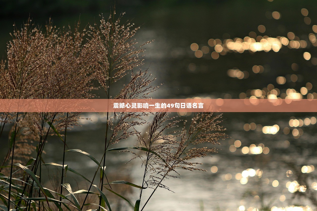 震撼心灵影响一生的49句日语名言