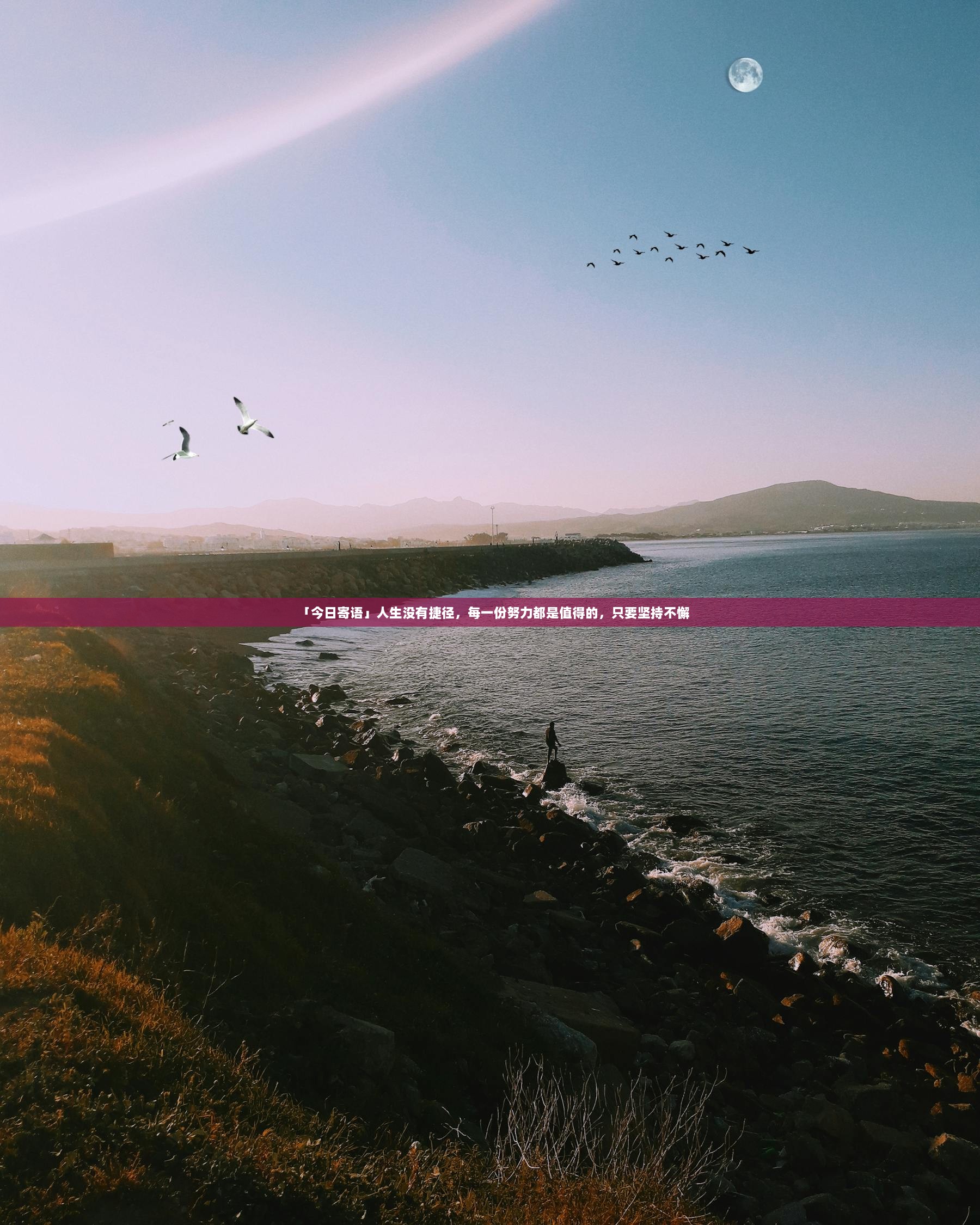 「今日寄语」人生没有捷径，每一份努力都是值得的，只要坚持不懈