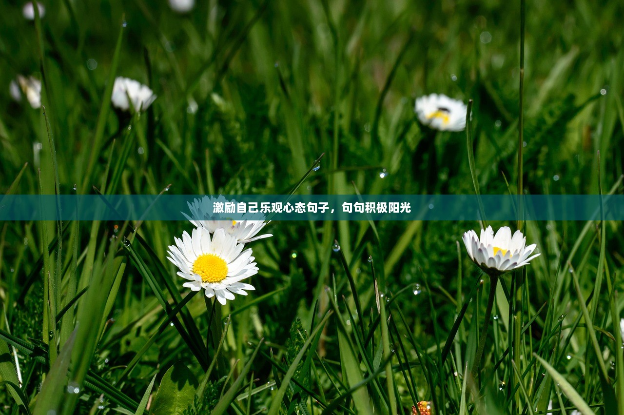 激励自己乐观心态句子，句句积极阳光