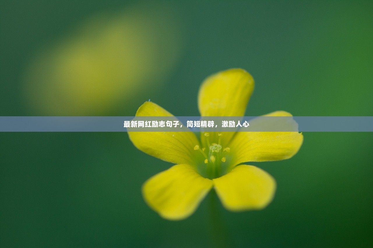 最新网红励志句子，简短精辟，激励人心