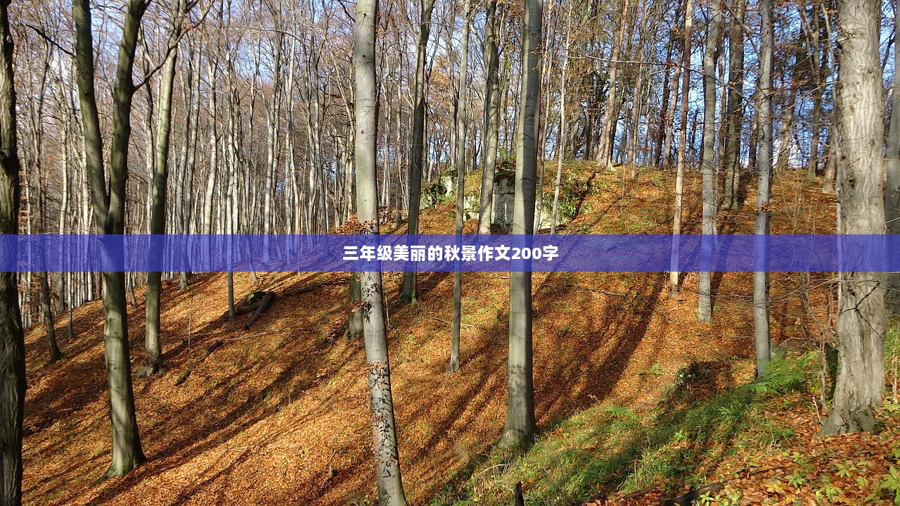 三年级美丽的秋景作文200字