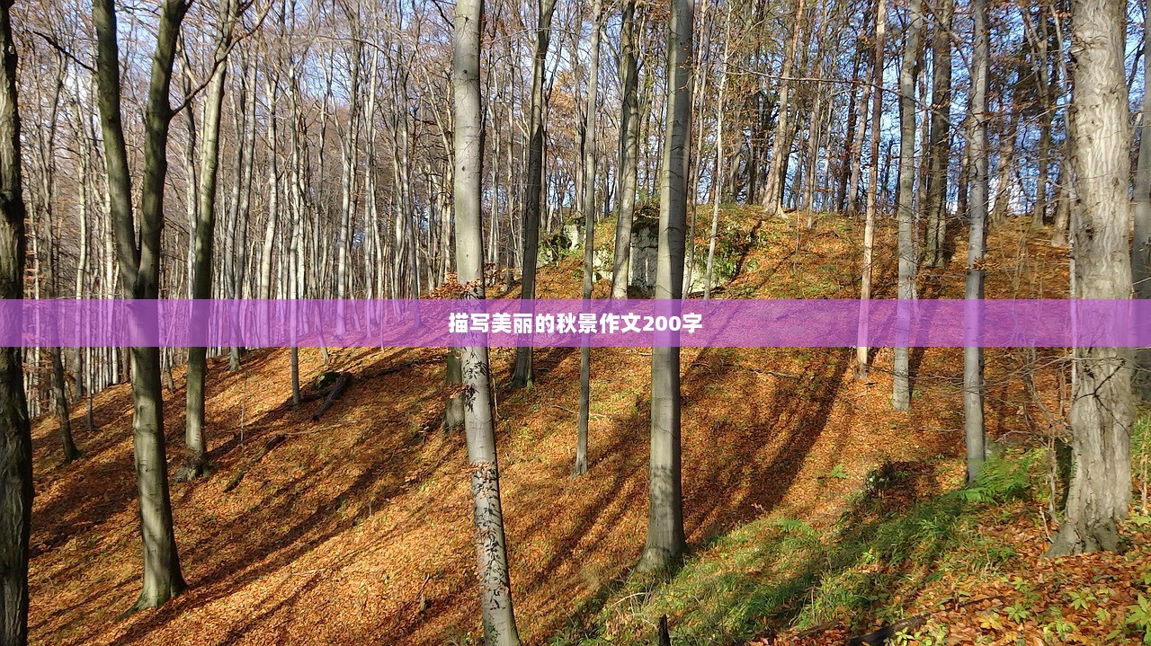 描写美丽的秋景作文200字 第1张 描写美丽的秋景作文200字 第1张