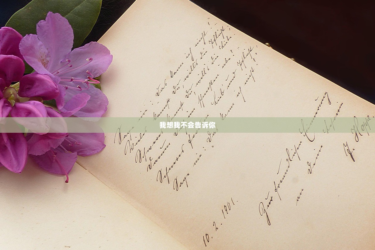 我想我不会告诉你