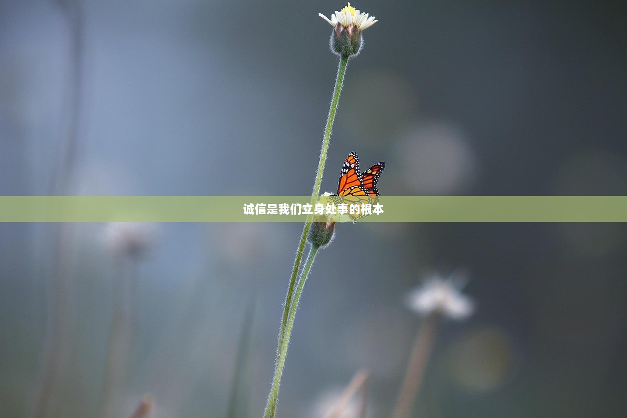 诚信是我们立身处事的根本