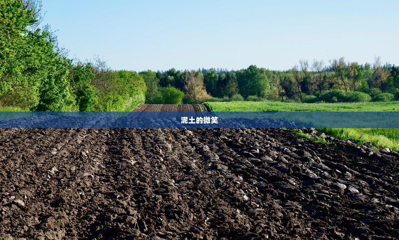 泥土的微笑