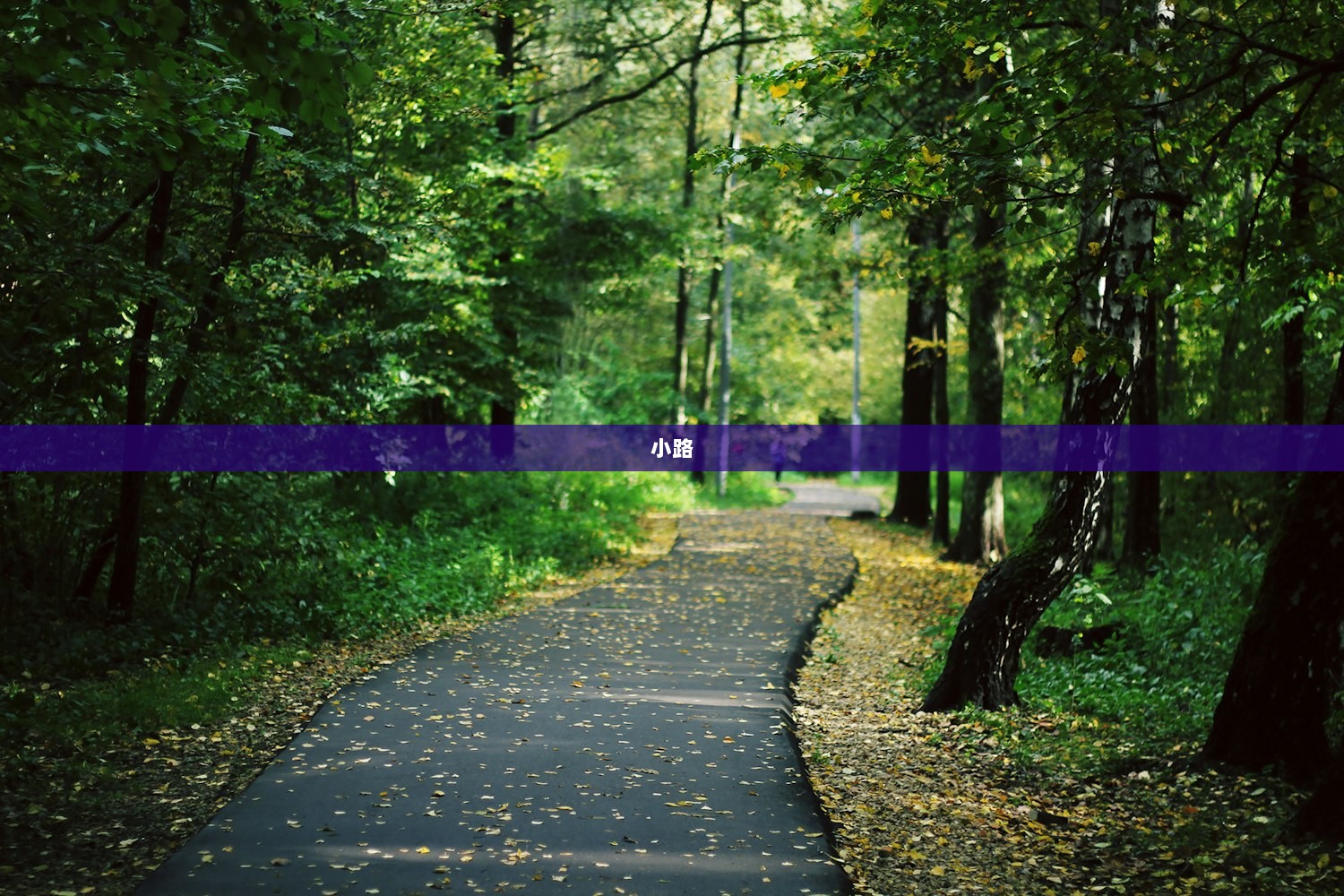 小路