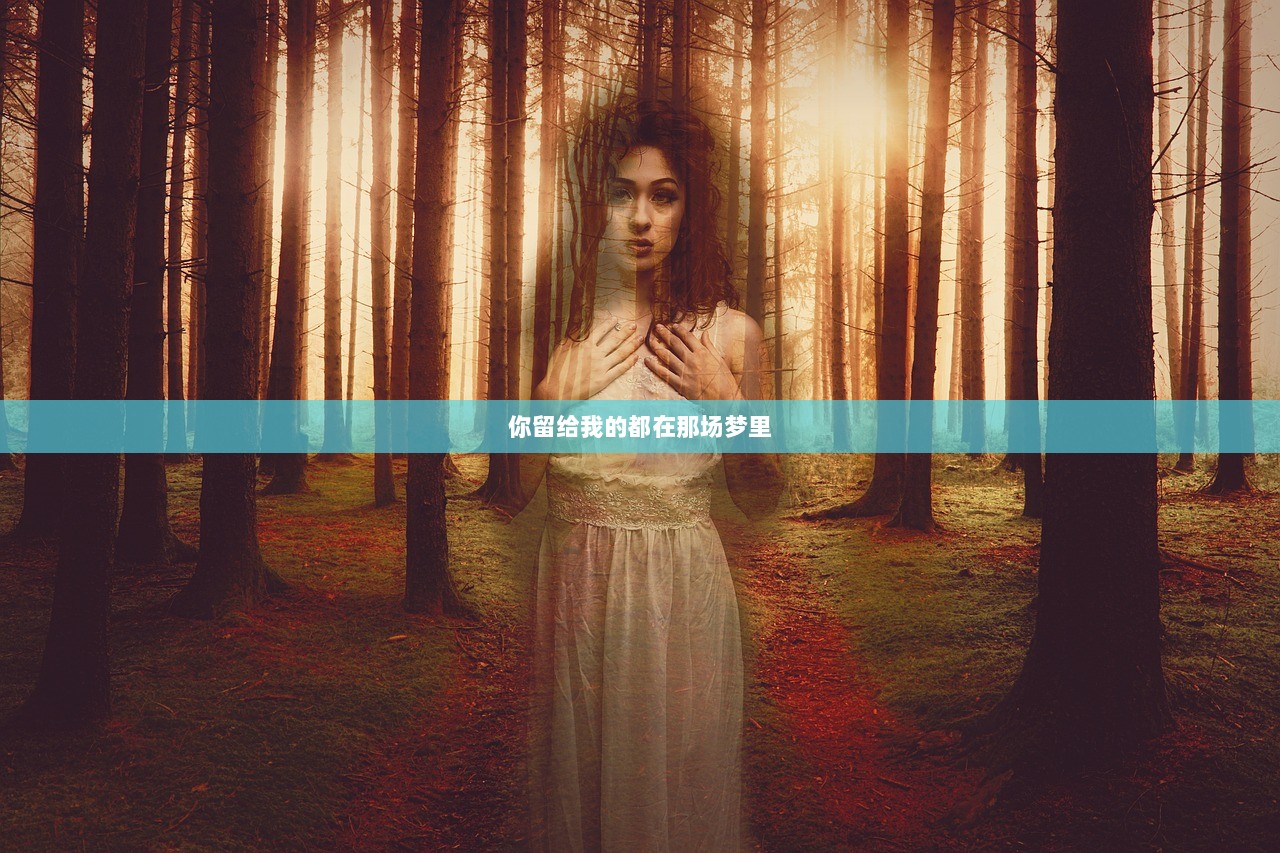 你留给我的都在那场梦里