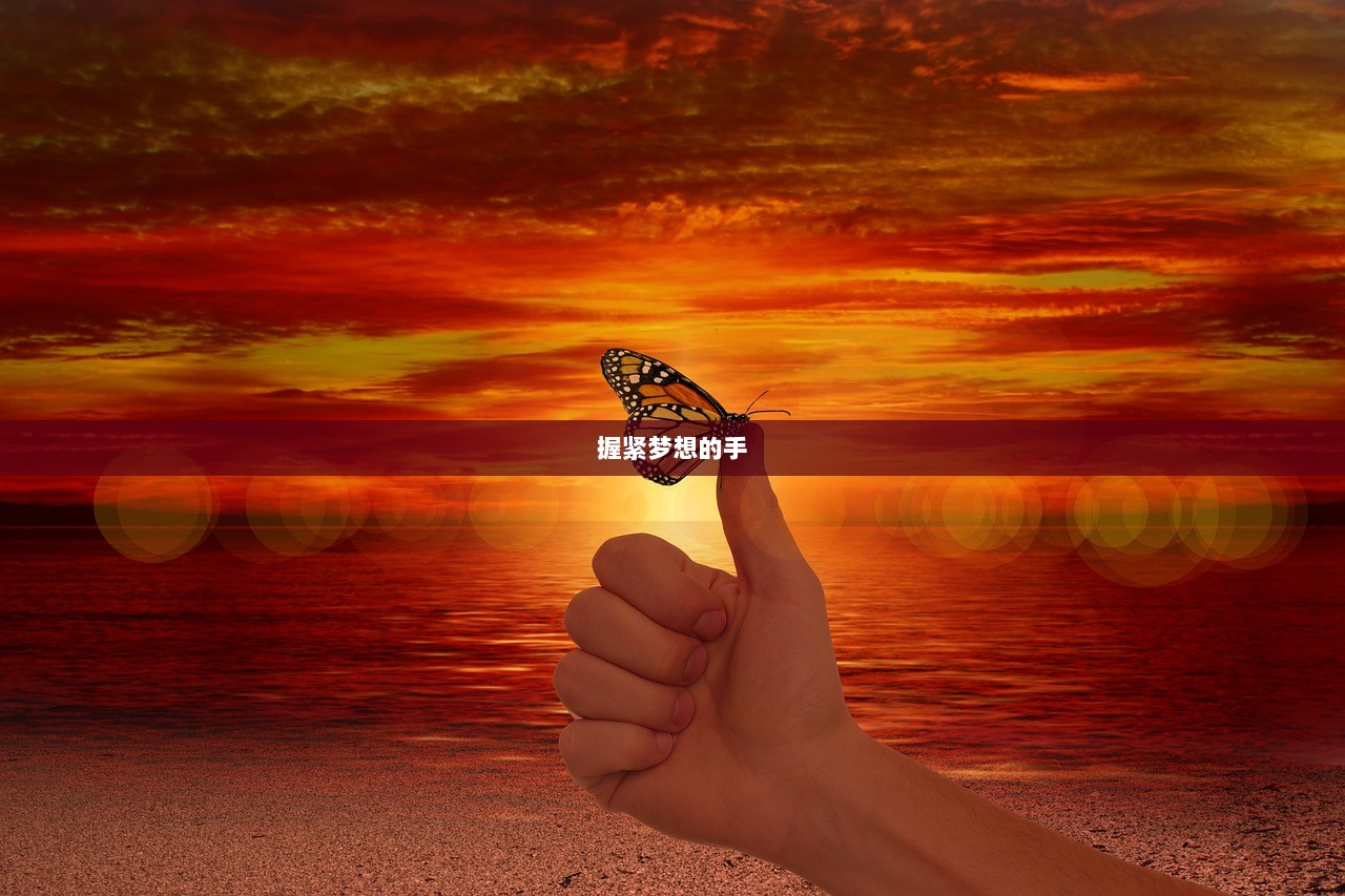 握紧梦想的手