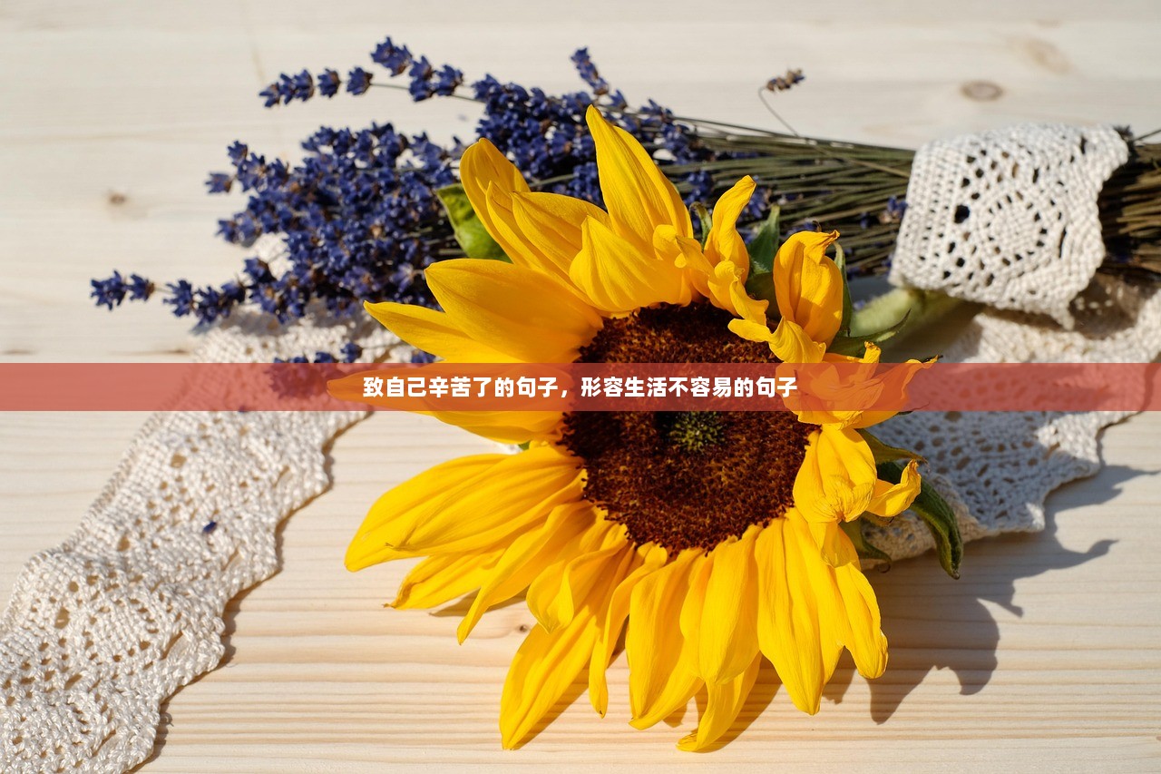 致自己辛苦了的句子，形容生活不容易的句子
