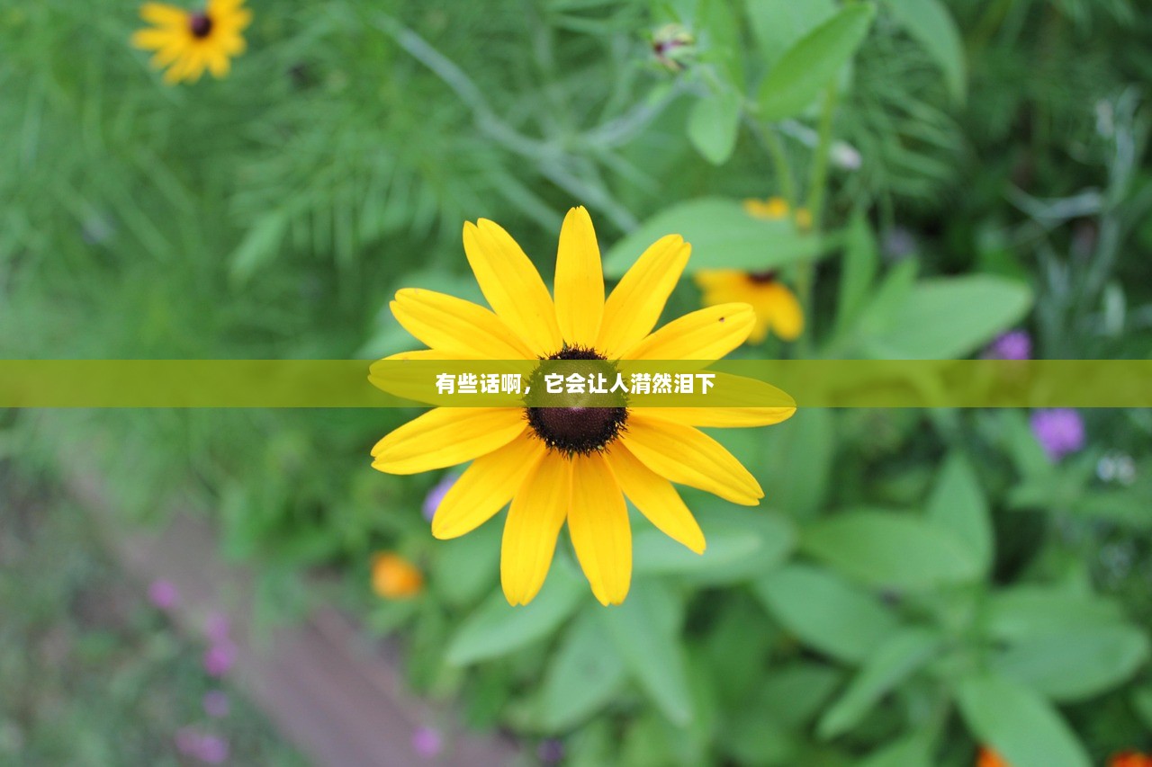 有些话啊，它会让人潸然泪下  第1张