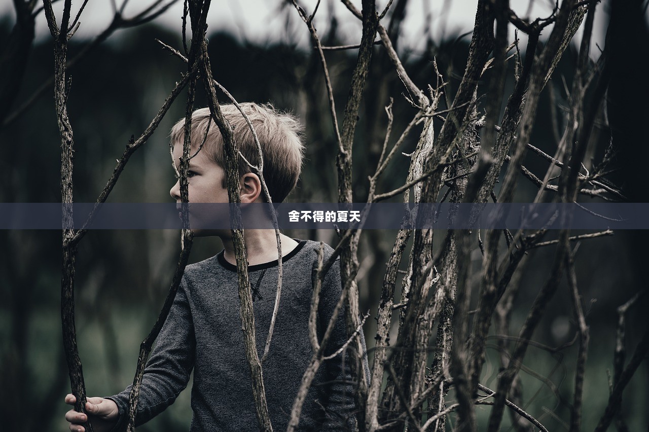 舍不得的夏天