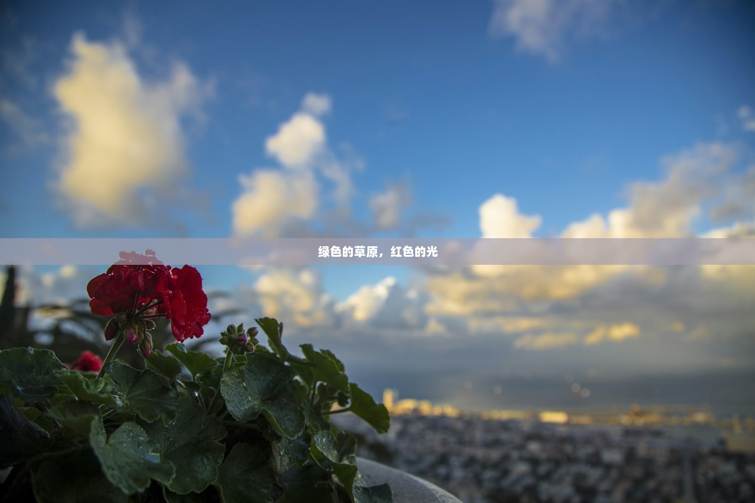 绿色的草原，红色的光