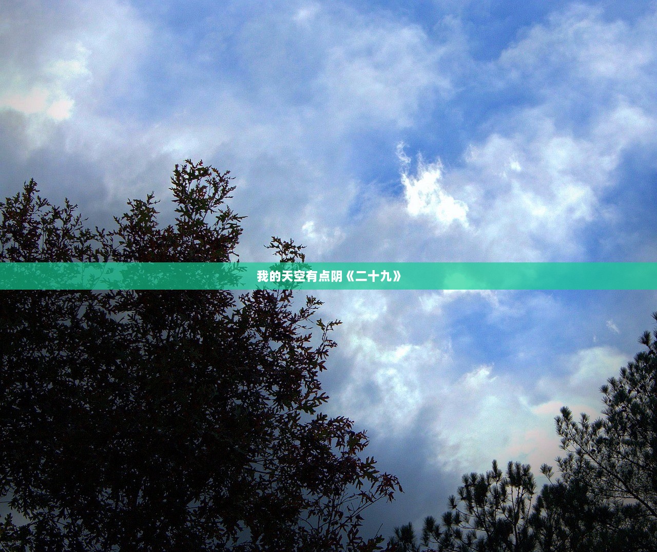 我的天空有点阴《二十九》  第1张
