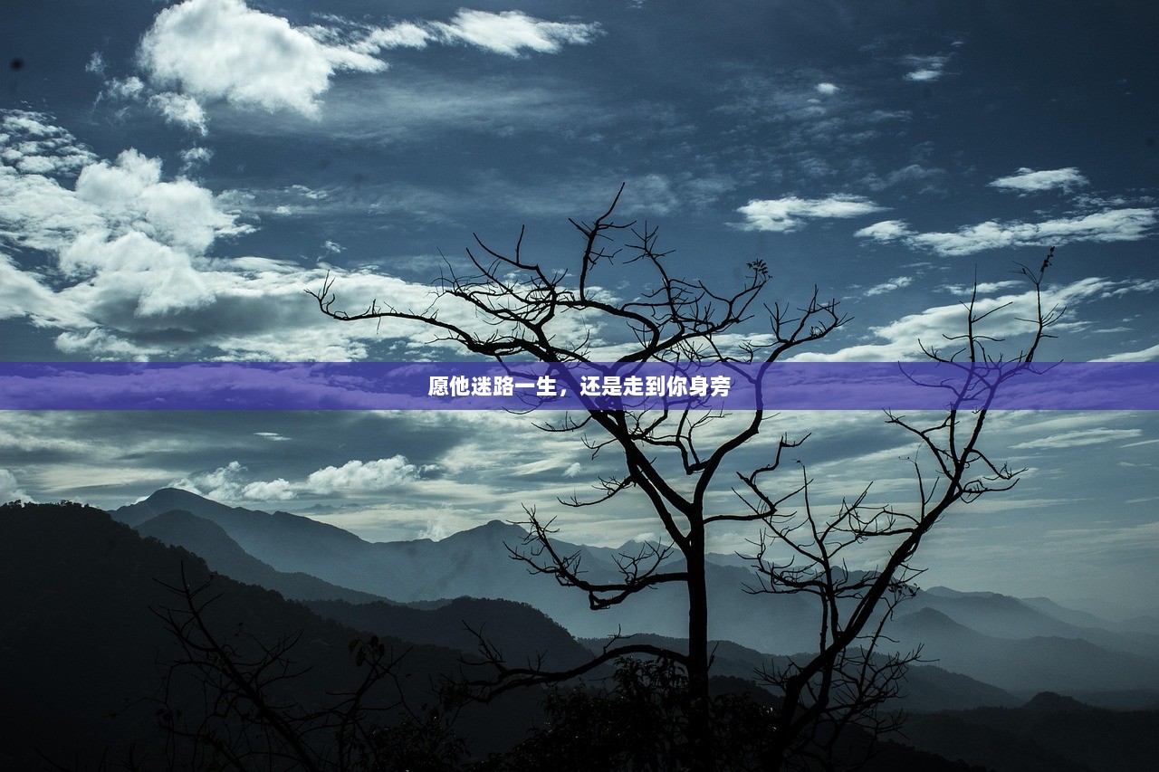 愿他迷路一生，还是走到你身旁